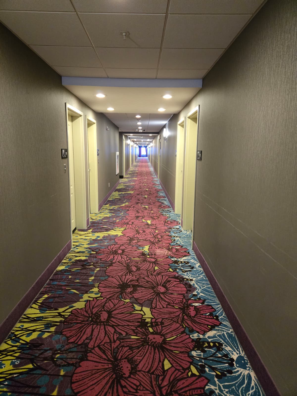 Hotel corridor before Hotel corridor before